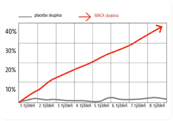 Graph showing study results on maca root effect