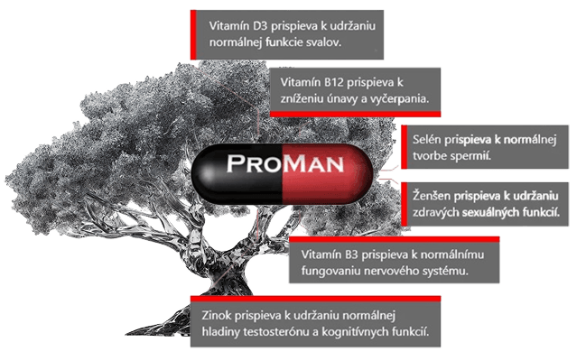 Obrázek zobrazuje skleněné srdce naplněné červenými kapslemi, které symbolizují Omega-3 mastné kyseliny (DHA a EPA) a vitamíny D a E. Na obrázku jsou umístěny barevné ikony a popisky, které ukazují, jak tyto živiny podporují zdraví srdce.