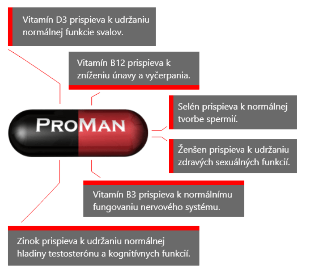 Schéma kapsle Proman